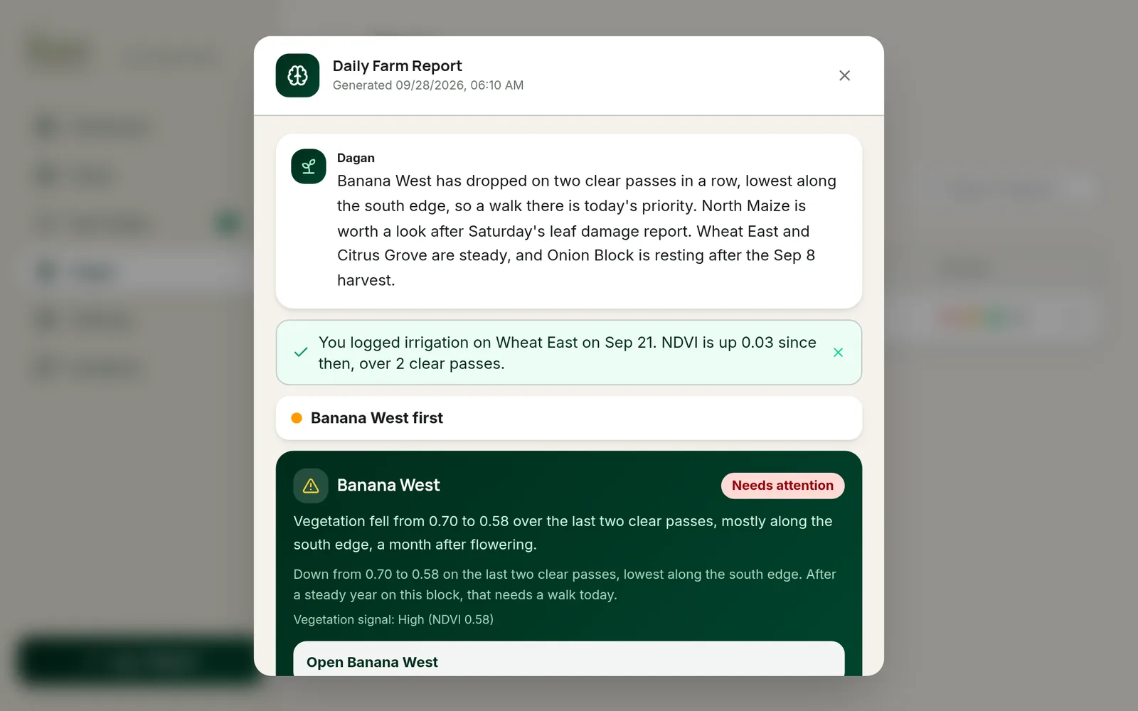 Dagan's daily report: a summary, attention counts, each field with its chip and the Next Steps the report raised